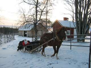 Фермерские дома Farmhouse Tervamäki Tervajärvi-4